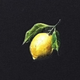 Image for article titled Beyoncé announces huge Lemonade box set